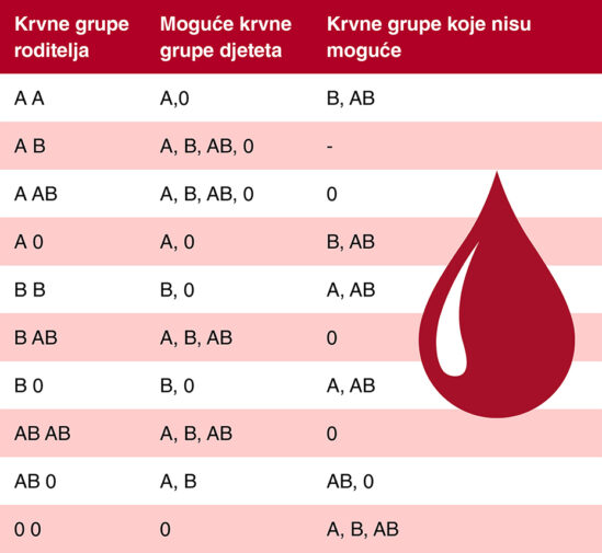 Trudnoća I Porod: Krvne Grupe: Kako Ih Nasljeđujemo Od Roditelja